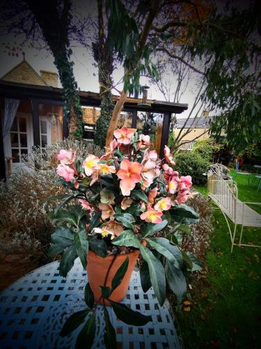 Cotswold Garden Chalet in Stow-on-the-Wold