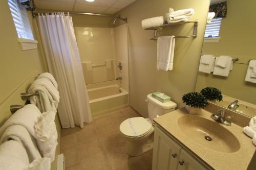 霍利Tanglwood Resort, a VRI resort的一间带水槽、卫生间和淋浴的浴室