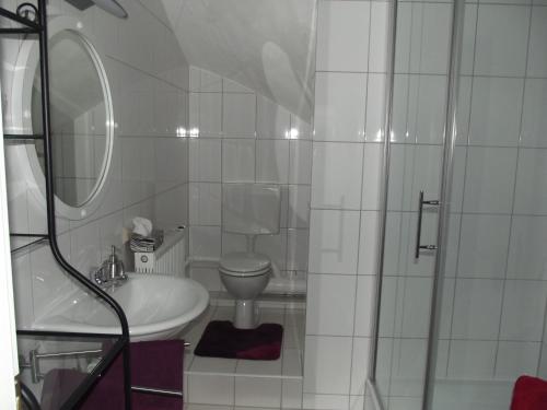 施派尔Feworeinhard的浴室配有卫生间、盥洗盆和淋浴。