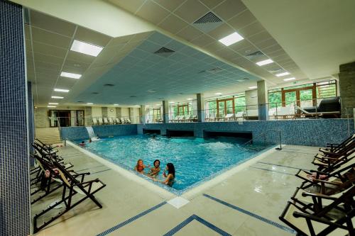 斯塔佐扎格斯基巴尼卡莉斯塔水疗酒店的一群人在游泳池里