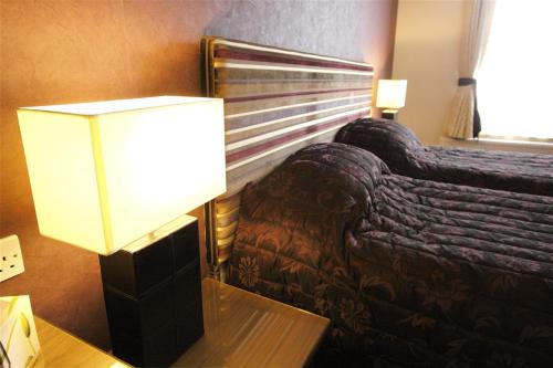 柯克沃尔阿尔伯特酒店的客厅配有沙发和台灯