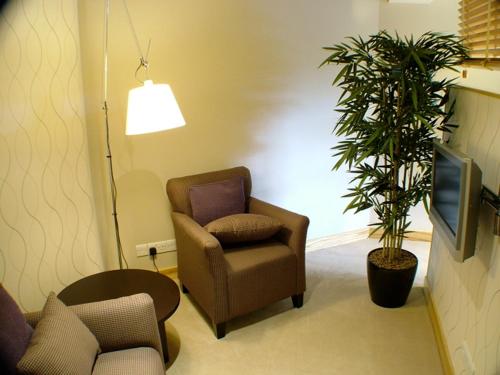 柯克沃尔阿尔伯特酒店的一间带椅子和植物的客厅