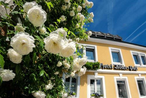 施韦青根Hotel Adler Post的建筑物前有白色花的树