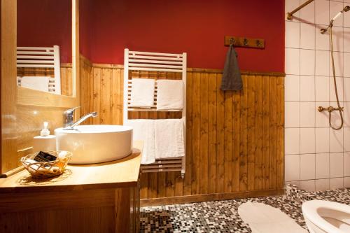 CundValea Verde Retreat Transilvania的一间带水槽和卫生间的浴室以及红色的墙壁。