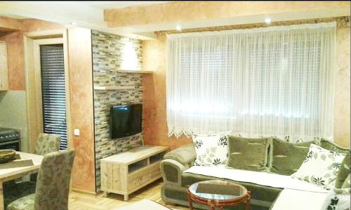 兹拉蒂博尔Apartment Laki的带沙发和电视的客厅