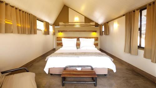 沙漠箭袋营旅馆客房内的一张或多张床位