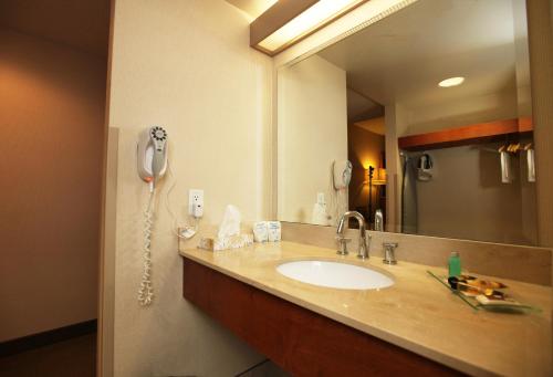 圣艾伯特套房酒店的一间浴室