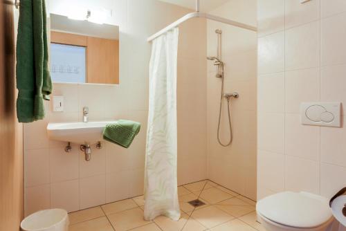 卢塞恩Anstatthotel Luzern - self-check-in的带淋浴、卫生间和盥洗盆的浴室