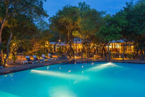 尼拉瓦利尼拉维里海滩酒店的游泳池,晚上有椅子和树木