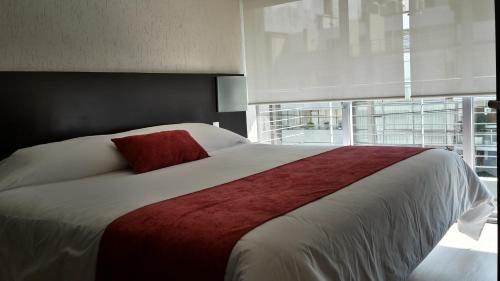 国王套房集团酒店 - 芒特钦博拉索街537号客房内的一张或多张床位