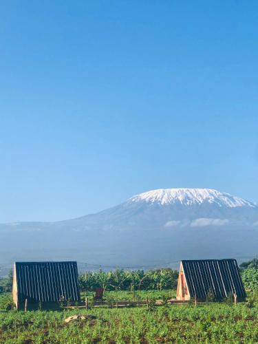 Camp David-Amboseli