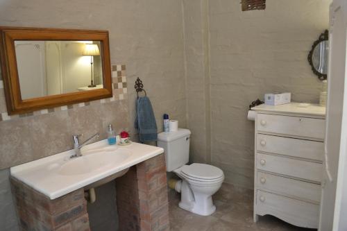 彼得马里茨堡A Garden Suite B&B的一间带水槽、卫生间和镜子的浴室