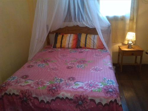 托舵道斯艾蒂安内特公寓的一间卧室配有一张粉红色的床和天蓬