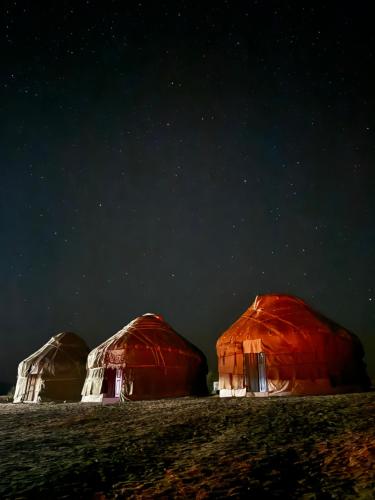 Desert Central Asia Yurt Camp