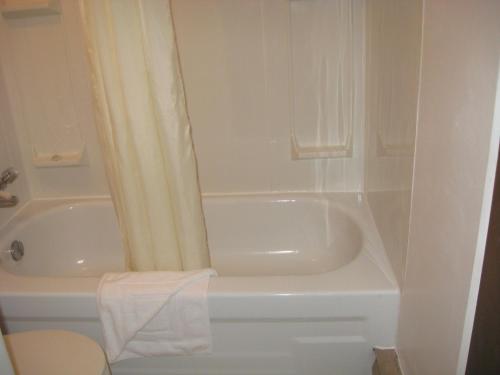 梅迪辛哈特帕尔斯汽车旅馆和RV公园的浴室配有白色浴缸、卫生间和水槽。