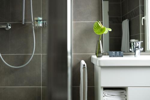 多特蒙德灰色设计酒店 的带淋浴、盥洗盆和镜子的浴室