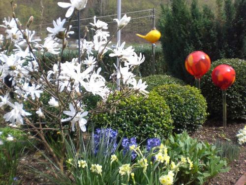 巴特黑雷纳尔布Amstadt's Birkenfels的花园内种有白色花卉和红色气球