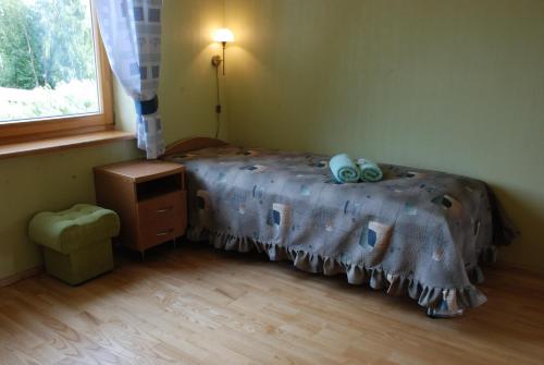 普里恩斯慕斯Brīvdienu Māja Riekstnieki的一间卧室配有一张床铺,床上有毯子