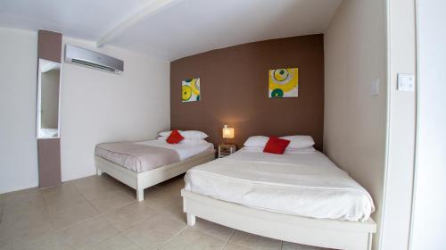 努尔德阿鲁巴岛热带公寓的相册照片