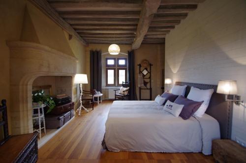 Noron-la-PoterieLe Manoir du Pont Senot的一间卧室设有一张大床和一个壁炉