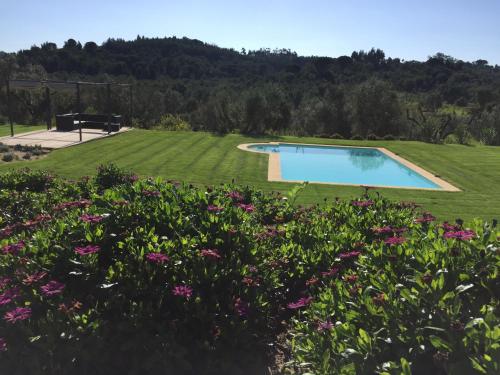 阿赞布雅Casa do Alfaro的一个带游泳池和鲜花的花园