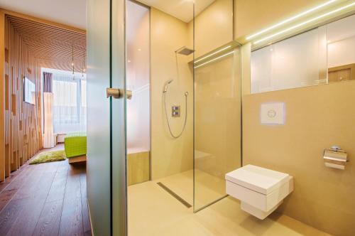 KéthelyKristinus Borbirtok的一间带卫生间和玻璃淋浴间的浴室
