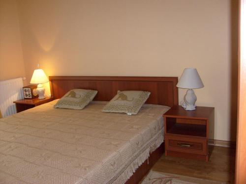 卡齐米日-多尔尼Apartament 12 Zacisze - Apartamenty Pod Aniołem的一间卧室配有带两个枕头和一盏灯的床