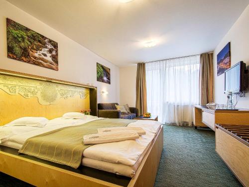 特尔乔夫迪尔瑞酒店的一间酒店客房,房内配有一张大床