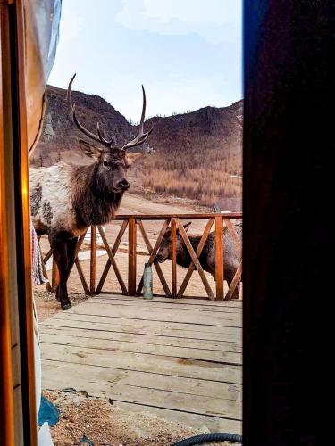 Apache Eco Camp, Terelj Nationalpark Mongolia