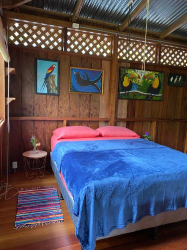 The Tropical Tiny House