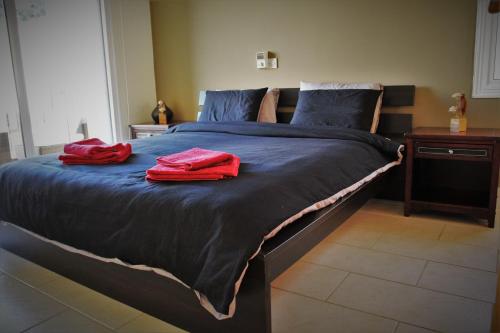 帕福斯Villa Marina的一张大床,上面有两条红色的毛巾