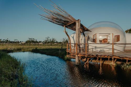 Green Land Bubble Glamping By Mint