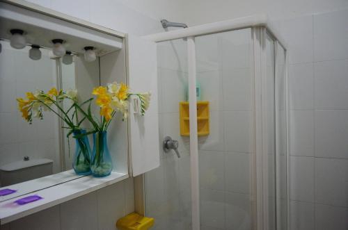 Luni艾伯塔盖拉意大利住宅酒店的浴室设有淋浴,架子上放着花瓶