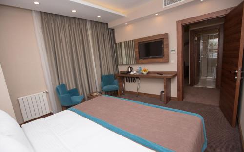 格瑞科勒古如客莱尔公园酒店的酒店客房配有一张床、一张书桌和一台电视。