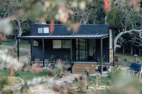 Sandy Hill Forest Tiny Home