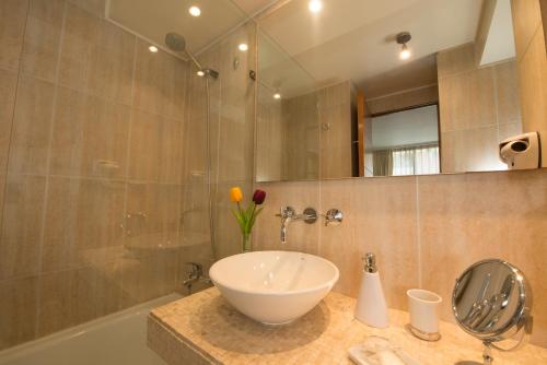 圣地亚哥拉姆公寓的浴室配有盥洗盆、镜子和浴缸