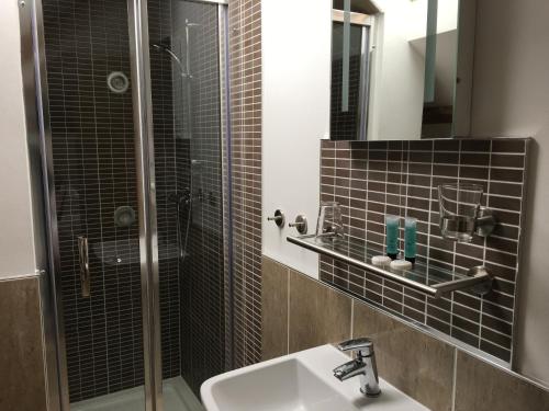 Capel HendreKings Head的带淋浴、盥洗盆和镜子的浴室
