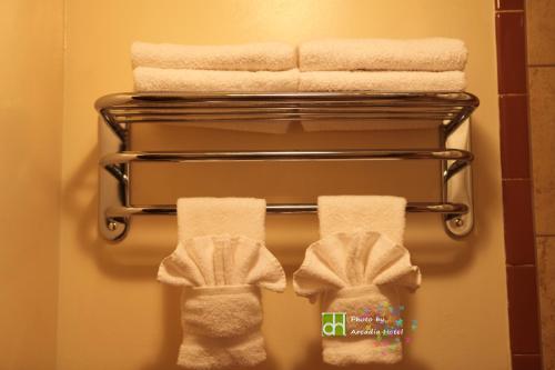 GeringArcadia Hotel的浴室内带毛巾和鞋子的毛巾架