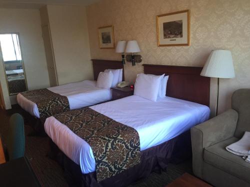 皇后区埃尔维旅馆的酒店客房,设有两张床和一张沙发