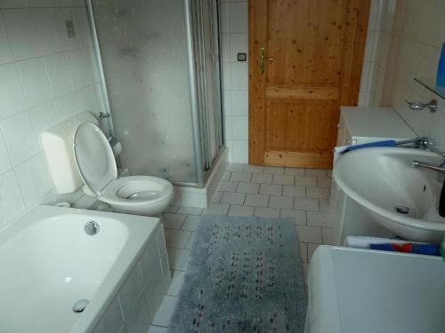 WitzmannsbergSeidl's Ilztalfewo的浴室配有卫生间、盥洗盆和淋浴。