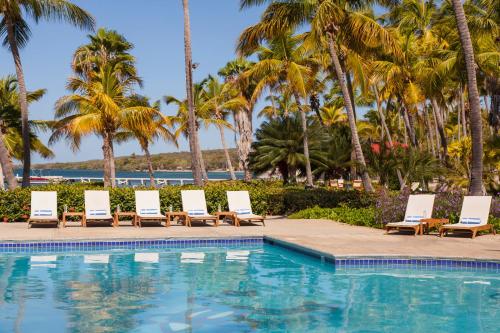 瓜尼卡克帕玛丽娜海滩温泉度假村的一个带躺椅的游泳池,棕榈树
