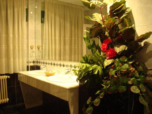 圣安东尼奥酒店的一间浴室
