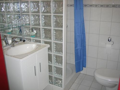 登海尔德登海尔德酒店的一间带水槽、卫生间和淋浴的浴室