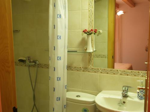 罗德艾勒Casa Javier的一间带水槽、卫生间和镜子的浴室