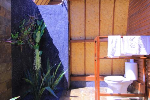 吉利特拉旺安珊瑚海岸酒店的一间带卫生间的浴室和一个带毛巾的架子