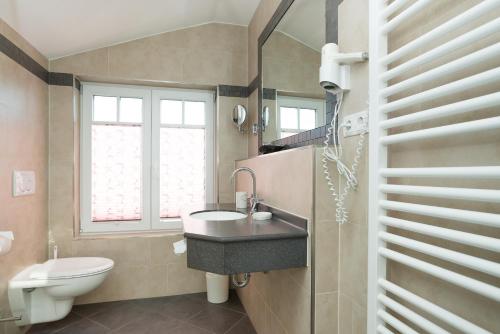 韦斯特兰叙尔特岛布劳姆谢酒店的一间带水槽和卫生间的浴室以及窗户。