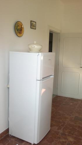 莱乌卡Appartamento Barbara的厨房里的一个白色冰箱,墙上有一个盘子