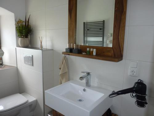 旧明斯特Appartement Traunseeferien的一间带水槽、镜子和卫生间的浴室