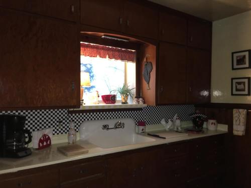 SagleSleep's Cabins的带水槽的厨房台面和窗户