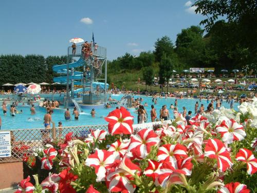 利扎诺-因贝尔韦代雷米拉瓦尔2000酒店的一群人在游泳池里